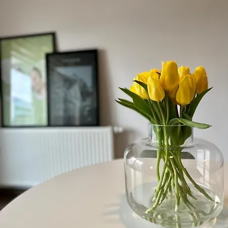 City Park Apartment *